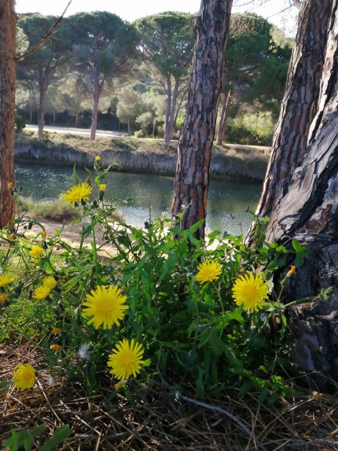 Il Rifugio Ad Orosei Διαμέρισμα Εξωτερικό φωτογραφία